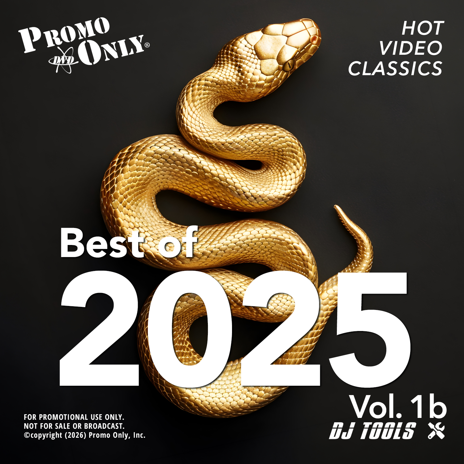 Best of 2025 Vol. 1b